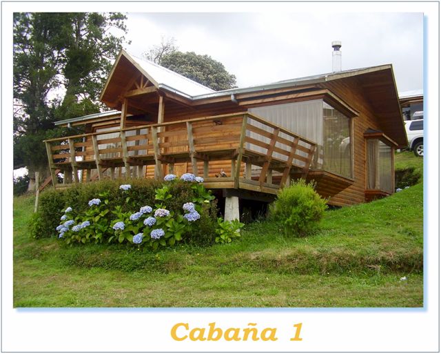 cabana1polaroid.jpg (1233651 bytes)