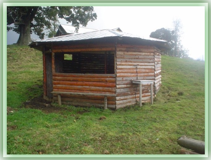 quincho1aa.jpg (105285 bytes)